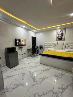 Spacious and luxurious studio apartment in OguduGRA